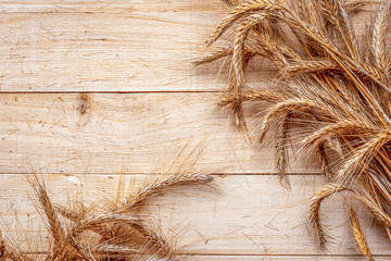 Barley grain. Whole, barley, harvest wheat sprouts. Wheat grain ear or rye spike plant on wooden...