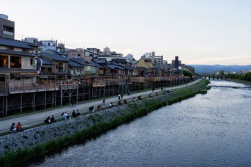 Fototapeta premium 鴨川