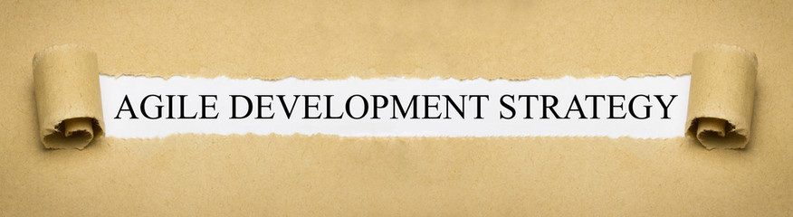 Agile Development Strategy