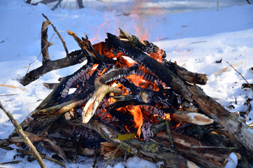 Branches of trees in a bonfire flame on a background of snow