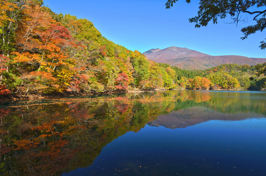 不忘山 Photos Royalty Free Images Graphics Vectors Videos Adobe Stock 不忘山 Photos Royalty Free Images Graphics Vectors Videos Adobe Stock