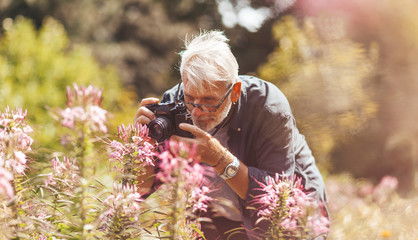 Elderly pensioner photographing pink flowers in the park, outdoor hobby. Active longevity. A keen and cheerful senior man.