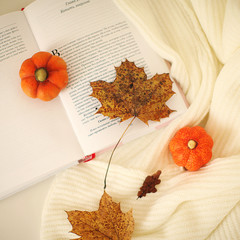 open book with autumn leaves