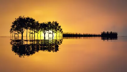 Vlies Fototapete Reflection Silhouette von Bäumen, Gras und Dock, die die Form einer Gitarre an einem See widerspiegeln. Musik in der Natur, 3D-Darstellung
