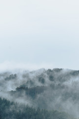 Foggy Day in the hills of Germany
