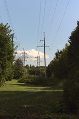 power lines in the forest park