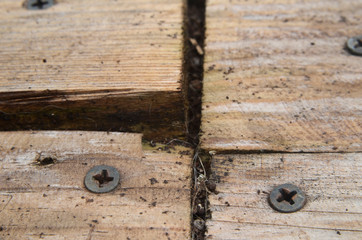 close up de madera con tornillos, madera de piso o deck con tornillos, fondo de madera
