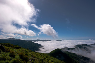 Fototapeta na wymiar Wonderful and curious sea of clouds at beautiful mountain landscape.