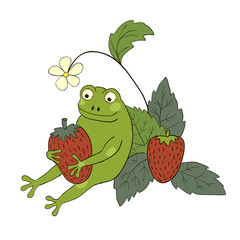 Frog with berries Vector animal isolated on white 