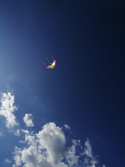 Una cometa en cielo