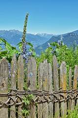 Bauerngarten oberhalb Bozen - Südtirol - Italien