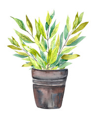 Watercolor illustration. Aluminum, gray bucket with laurel