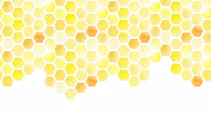 Foto op Plexiglas seamless background, honeycomb border. yellow honeycomb watercolor hand drawing. isolated on white background. pattern for design, banner, place for an inscription. cute drawing farming, bee © Татьяна Гончарук