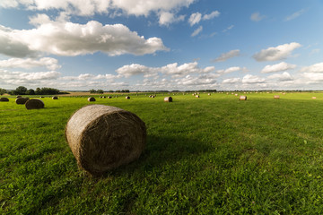 Hay bales in peacful summer afternoon