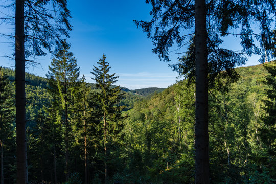 Auf dem Westwallweg