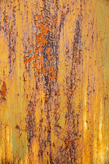 Embossed texture of the old dry cracked paint with with flashes of rust