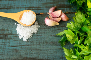 ingredientes para salsa, dientes de ajo, sal de mar, cilantro, salsa picante, comida mexicana