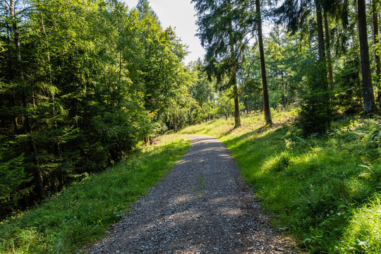 Auf dem Westwallweg