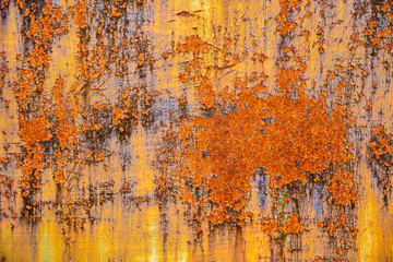 Embossed texture of the old dry cracked paint with with flashes of rust