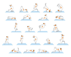 Set of yoga poses or asanas with jack russell terrier character as a sport endpoint, outline vector stock illustration with dog isolated on white background