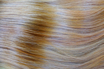 light blond wavy hair close-up for background.