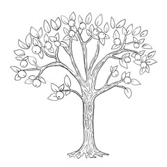 Apple tree coloring page. Vector black and white 