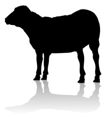 A sheep or lamb farm animal in silhouette