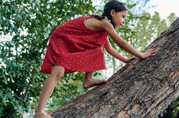 Cheerful little girl climbing on the big tree exploring the nature. Happy child playing in the...