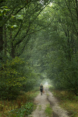 Fototapeta premium Walking the dog. Countryroad. Forest Echten Drenthe Netherlands