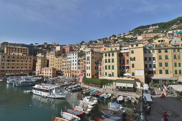 Fototapeta na wymiar The characteristic seaside village of Camogli in the eastern Ligurian Riviera located between Recco and Rapallo. The heart of the town is in its characteristic porticcilo full of fishing boats and ple