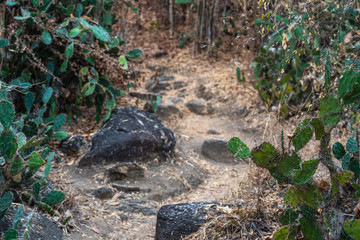 Naklejka na ściany i meble Mountain trail with rocks and cactus To get to the view point of Hua Hin Prachuap Khiri Khan, Thailand.