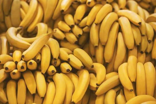 Background depicting a lot of ripe yellow delicious banana fruits that are lying in the grocery store. Rich harvest.