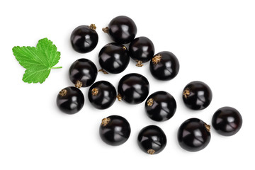 black currant with leaves isolated on white background with clipping path. Top view. Flat lay pattern