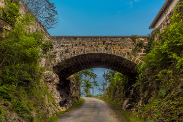 Fototapeta na wymiar A buttress bridge in the highlands on the Atlantic coast of Barbados