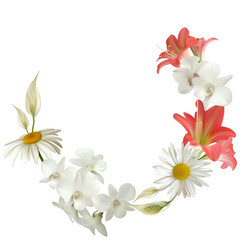Floral background. Chamomile. Pink lilies. Flowers. White orchids. Vector illustration. Wreath.