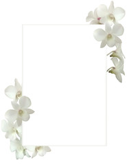 Floral background. Orchids. White square background framed with tropical flowers. Vector illustration.