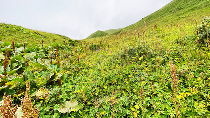 Travel to the mountainous region of Georgia
