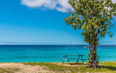 Fototapeta na wymiar An idyllic Caribbean beach in Bridgetown, Barbados