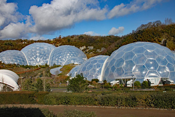 The biomes at the Eden Project in Cornwall, England. Opened in 200 and was built on a disused china clay pit and contains plants from a wide diversity of climates and environments - obrazy, fototapety, plakaty