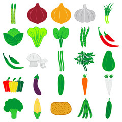 vegetable icon vector symbol isolated illustration white background