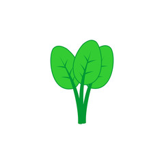 vegetable icon vector symbol isolated illustration white background