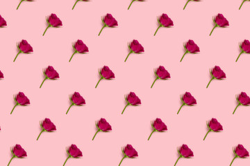 Rose flowers pattern on a pink pastel background. Monochrome floral creative layout.