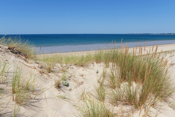 Fototapeta na wymiar Sand dunes of the Pen-Bron naturist beach in Loire Atlantique coast