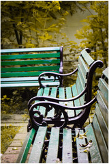 bench in the park