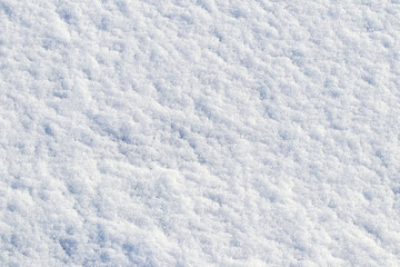 White snow texture in sunny weather. Winter background