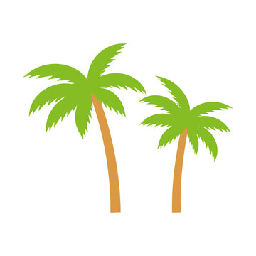Palm trees icon. Palm tree summer vector illustration isolated on white