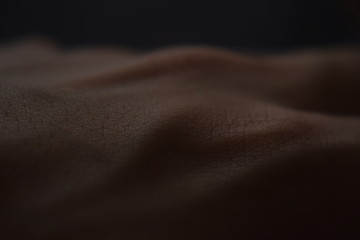 Piel 