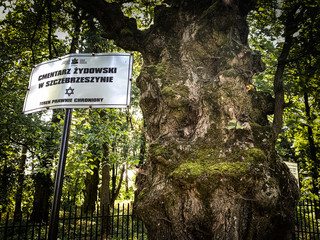 Jeden z najstarszych w Polsce cmentarz żydowski w Szczebrzeszynie