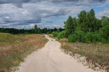 Fototapeta na wymiar Wide dirt road in the middle of a green spring birch grove with a dark cloudy sky. Ukraine
