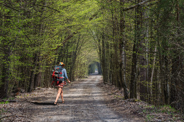 Obraz premium A girl with a backpack in a stylish hat walks through the spring forest. Ukraine